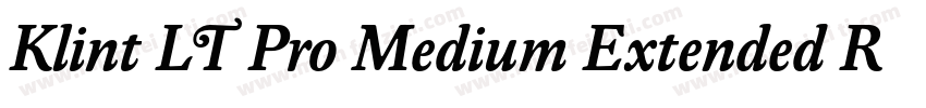 Klint LT Pro Medium Extended Regula字体转换